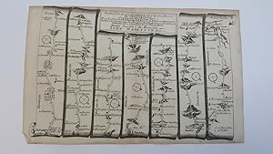 The Continuation of the Road from London to Weymouth [Showing Basingstoke, Stockbridge, Broughton...