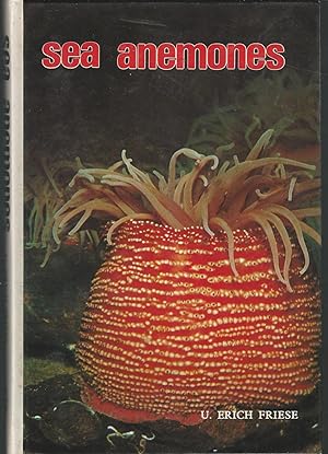 Seller image for Sea Anemones for sale by Dorley House Books, Inc.