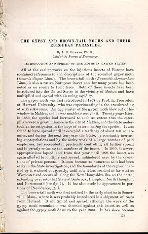 Imagen del vendedor de The Gypsy and Brown-tail Moths and Their European Parasites".disbound from the Yearbook of the Department of Agriculture, 1905 a la venta por Dorley House Books, Inc.