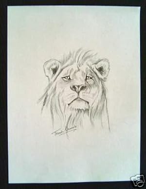 Untitled [Original Drawing of African Lion] Khumalo, Thembi