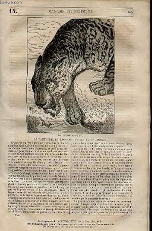 Image du vendeur pour LE MAGASIN PITTORESQUE - Livraison n0014 - La panthre, le lopard , l'onge et le jaguar. mis en vente par Le-Livre