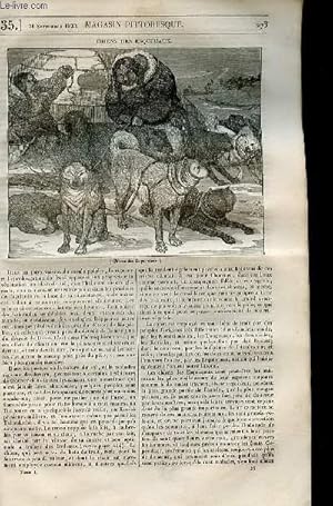 Imagen del vendedor de LE MAGASIN PITTORESQUE - Livraison n0035 - Chiens des esquimaux. a la venta por Le-Livre