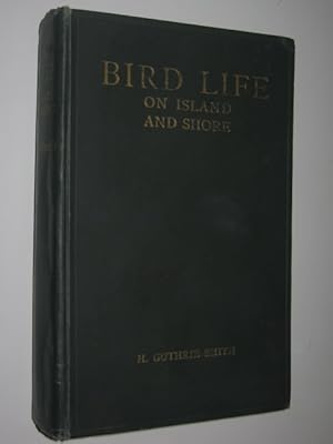 Bird Life on Island and Shore