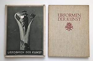 Urformen der Kunst, photographische Pflanzenbilder, herausgegeben mit einer Einleitung von Karl N...