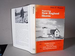Exploring New England Shores: A Beachcomber's Handbook