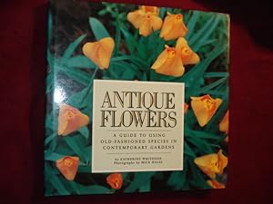 Seller image for Antique Flowers. A Guide to Using Old-Fashioned Species in Contemporary Gardens. for sale by BookMine