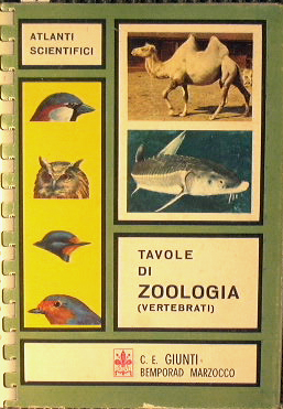Imagen del vendedor de Tavole di zoologia ( Vertebrati ) a la venta por Antica Libreria di Bugliarello Bruno S.A.S.