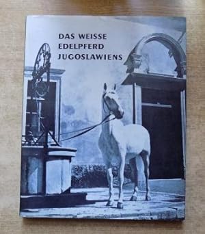 Image du vendeur pour Das weisse Edelpferd Jugoslawiens. mis en vente par Antiquariat BcherParadies