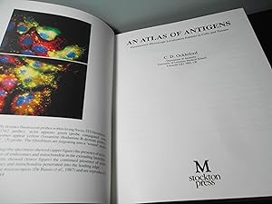 Seller image for An Atlas of Antigens - Fluorescence Microscope Localisation Patterns in Cells and Tissues for sale by Eastburn Books