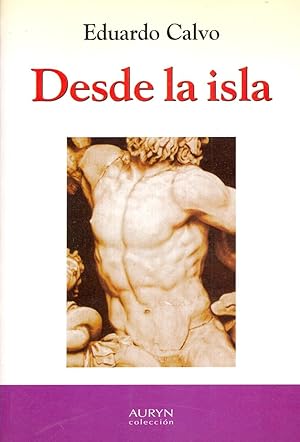 Seller image for DESDE LA ISLA for sale by Libreria 7 Soles