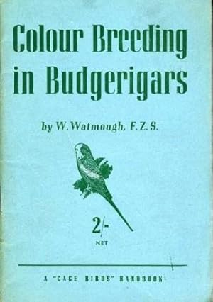 Colour Breeding in Budgerigars