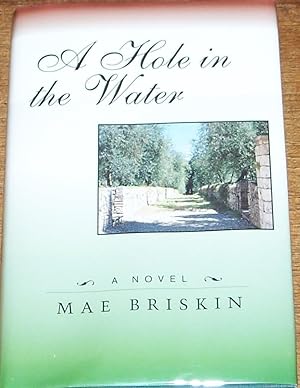 Immagine del venditore per A Hole in the Water venduto da My Book Heaven