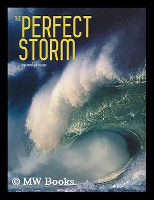 Bild des Verkufers fr The Perfect Storm / Valeria Mnferto de Dabianis [project editor] ; Ornella D'Alessio [text] zum Verkauf von MW Books Ltd.