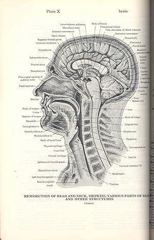 Immagine del venditore per Dorland's Illustrated medical dictionary. venduto da Joseph Valles - Books