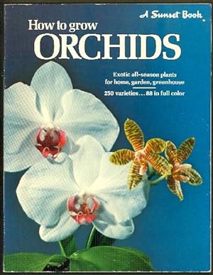 How to Grow Orchids