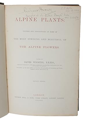 Imagen del vendedor de Alpine Plants: Figures and Descriptions of some of the most striking and beautiful of the Alpine Flowers. (First-) Second Series. 2 vols. a la venta por Herman H. J. Lynge & S�n ILAB-ABF