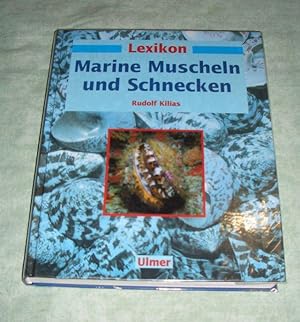Lexikon marine Muscheln und Schnecken.
