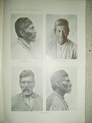 Bild des Verkufers fr Apuntes sobre antropometra de cuatro naturales del noroeste Argentino zum Verkauf von Expatriate Bookshop of Denmark