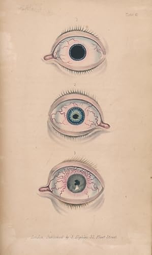 Image du vendeur pour Lectures on Diseases of the Eye mis en vente par Barter Books Ltd