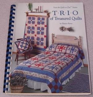 Immagine del venditore per Trio of Treasured Quilts (Quilt in a Day Series) venduto da Books of Paradise