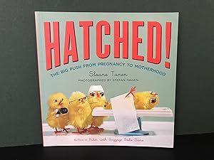 Seller image for Hatched! The Big Push from Pregnancy to Motherhood for sale by Bookwood