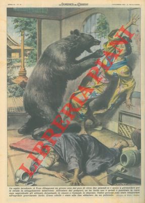 Grosso orso gironzola per le strade di Uozu (Giappone), penetrando in varie case e aggredendo gli...