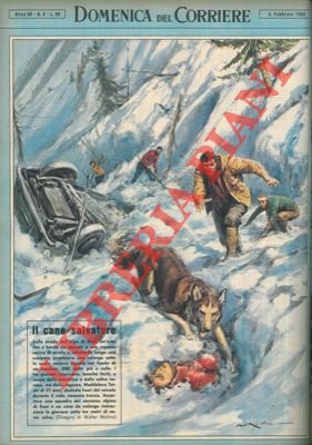 All'Alpe di Siusi un cane da valanga rintraccia una ventunenne sotto tre metri di neve salvandole...