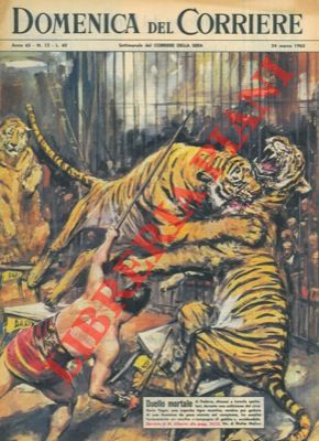 Duello mortale tra due tigri durante un'esibizione del circo Darix Togni.