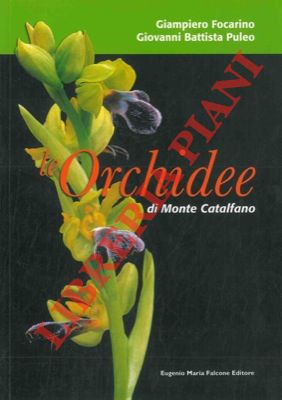 Le orchidee di Monte Catalfano.