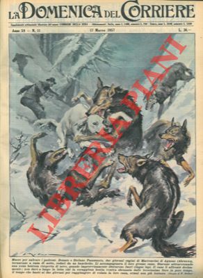In Abruzzo un cane affronta cinque lupi per salvare i padroni . la coraggiosa bestia veniva sbran...