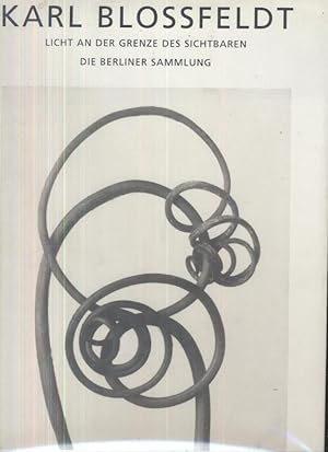 Karl Blossfeldt Licht an der Grenze des Sichtbaren