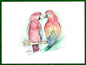 Original Drawing of African Parrots. Untitled, Thembi Khumalo