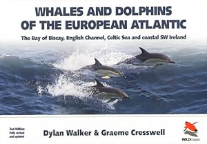 Seller image for Whales and dolphins of the European Atlantic, the Bay of Biscay, English Channel, Celtic Sea and coastal SW Ireland. for sale by Andrew Isles Natural History Books