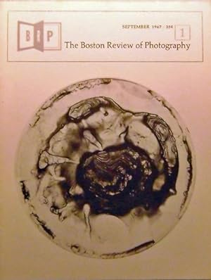 Immagine del venditore per The Boston Review of Photography Issues 1, 2, 3, 4 and 5 venduto da Derringer Books, Member ABAA