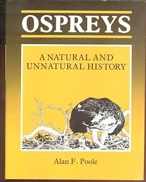 Image du vendeur pour OSPREYS a Natural and Unnatural History mis en vente par Peter Keisogloff Rare Books, Inc.