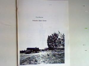Seller image for Friede ber Dora. for sale by books4less (Versandantiquariat Petra Gros GmbH & Co. KG)