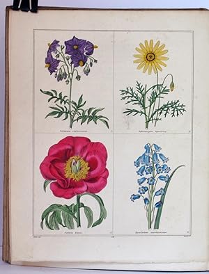 Imagen del vendedor de The Botanic Garden; consisting of Highly Finished Representations of Hardy Ornamental Flowering Plants, cultivated in Great Britain; with their names, classes, orders, history, qualities, culture, and physiological observations. Volumes I-VII a la venta por ecbooks