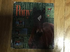 PONY