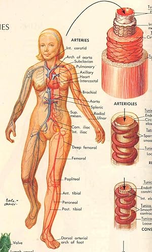 Seller image for Encyclopedia and dictionary of medicine and nursing for sale by Joseph Valles - Books