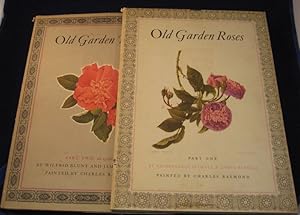 Seller image for OLD GARDEN ROSES for sale by A&F.McIlreavy.Buderim Rare Books