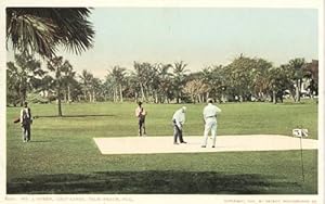 No. 3 Green, Golf Links, Palm Beach, Florida (Postcard)