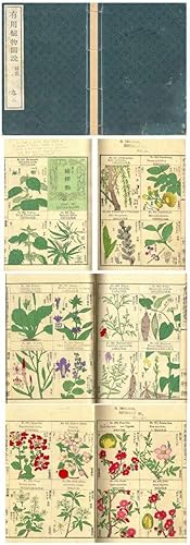 Yuyo Shokubutsu Zusetsu (Illustrated Catalogue of Useful Plants) Volume 2 Only