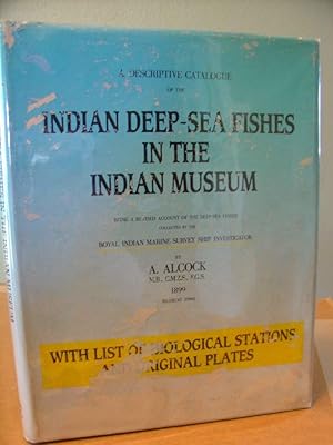 A Descriptive Catalogue of the Indian Deep-Sea Fishes in the Indian Museum, Being a revised Accou...