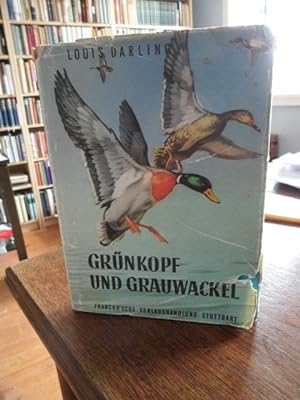 Grünkopf und Grauwackel. Die Geschichte zweier Stockenten. Erzählt und gezeichnet von Louis Darling.