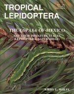 The Copaxa of Mexico and their Immature Stages (Lepidoptera: Saturniidae)