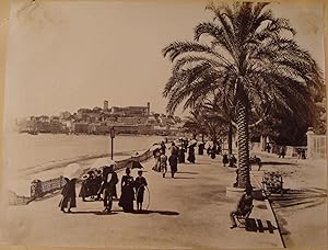 (PHOTOGRAPHIES. CANNES. NICE).