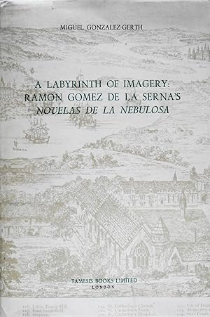 Imagen del vendedor de Labyrinth of Imagery: Ramon Gomez De LA Serna's Novelas De LA Nebulosa a la venta por School Haus Books