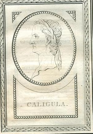 Bild des Verkufers fr Portrt. Kopfdarstellung im Profil nach links. Original - Kupferstich (anonym), Blattgre: 21 x 16 cm, 1789. zum Verkauf von Antiquariat Michael Eschmann