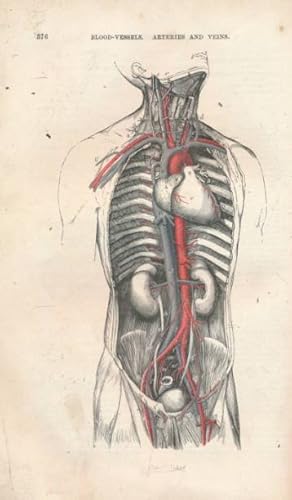 Seller image for Quain's Elements of Anatomy. Volume II - Part II. Arthrology, Myology, Angeiology for sale by Barter Books Ltd