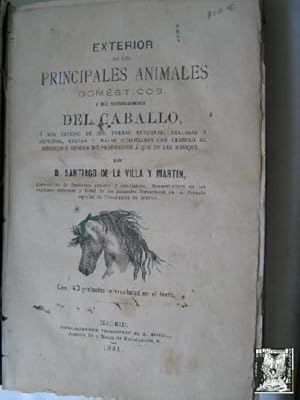 EXTERIOR DE LOS PRINCIPALES ANIMALES DOMÉSTICOS Y MÁS PARTICULARMENTE DEL CABALLO